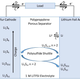 The charge (C) and discharge (D) electrochemical processes of the LiS battery. The separator keeps distance between the electrodes, while the LiTFSI is a lithium salt solution that ferries the ions.
